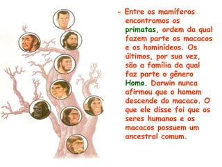 - Entre os mamíferos
  encontramos os
  primatas, ordem da qual
  fazem parte os macacos
  e os hominídeos. Os
  últimos, por sua vez,
  são a família da qual
  faz parte o gênero
  Homo. Darwin nunca
  afirmou que o homem
  descende do macaco. O
  que ele disse foi que os
  seres humanos e os
  macacos possuem um
  ancestral comum.
 