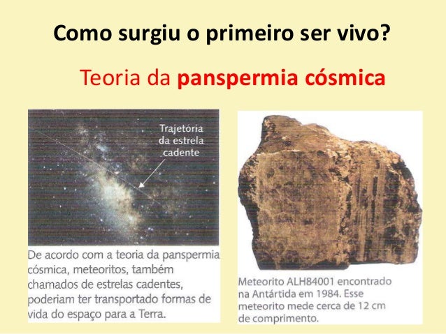 Origem do primeiro ser vivo na terra