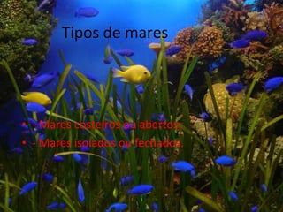 Tipos deMares
               mares




• - Mares costeiros ou abertos;
• - Mares isolados ou fechados.
 