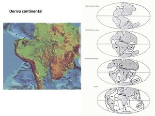 Deriva continental
 