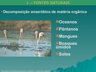 TRATAMENTO DE RESÍDUOS SÓLIDOS E GASOSOS - TECNOLOGIA AMBIENTAL - CEFETPR Decomposição anaeróbica de matéria orgânica   Oceanos  Pântanos Mangues  Bosques úmidos Solos 1 – FONTES NATURAIS 