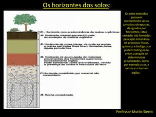 Os tipos de solos:TERRA ROXA: solo é encontrado no planalto meridional brasileiro e tem sua formação originada na Era Mesozóica, a partir do derramamento de lava vulcânica na crosta terrestre, o que ocorreu através da abertura de fendas. Essa lava, ao ser resfriada instantaneamente, deu origem às rochas BASÁLTICAS e DIABÁSIAS. Este acontecimento é chamado nos vestibulares de “Derrame de Trapp”. A terra roxa é muito fértil e, por isso, extremamente importante para a agricultura.Professor Murilo Sierro