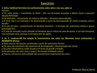 Os tipos de solos:Litólico: é um solo muito raso, cinza escuro, com aproximadamente 30 cm de profundidade, assentado diretamente sobre o basalto íntegro/consolidado ou o parcialmente decomposto. Ele armazena pouca água disponível para as plantas. 