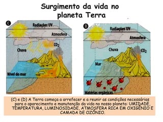  (C) e (D) A Terra começa a arrefecer e a reunir as condições necessárias
para o aparecimento e manutenção da vida no nosso planeta: UMIDADE,
TEMPERATURA, LUMINOSIDADE, ATMOSFERA RICA EM OXIGÊNIO E
CAMADA DE OZÔNIO.
Surgimento da vida no
planeta Terra
 