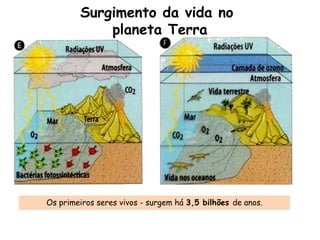 Os primeiros seres vivos - surgem há 3,5 bilhões de anos.
Surgimento da vida no
planeta Terra
 