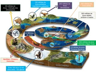 4,5 Bilhões
de anos
3,5 bilhões de anos
Primeiras Bactérias
500 milhões de anos
Vermes e Algas Vivas
400 milhões de
Anos peixes
300 milhões de
Anos répteis,
anfíbios e insetos
200 milhões de
Anos
Dinossauros
100 milhões de
Anos primeiros
mamíferos e pássaros65 milhões de
Anos – Extinção dos
Dinossauros
4milhões – Primeiro
Hominídeo
Entre 100 mil e 12 mil
anos atrás – Era glacial
 