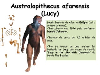 Australopithecus afarensisAustralopithecus afarensis
(Lucy)(Lucy)
Local: Deserto de Afar, na Etiópia (daí a
origem do nome).
Descoberto em: 1974 pelo professor
Donald Johanson.
Datado de cerca de 3,5 milhões de
anos.
Por se tratar de uma mulher foi
batizada de Lucy por causa da canção
"Lucy in the Sky with Diamonds" da
banda The Beatles.
 