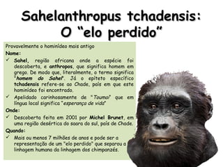 Sahelanthropus tchadensis:Sahelanthropus tchadensis:
O “elo perdido”O “elo perdido”
Provavelmente o hominídeo mais antigo
Nome:
 Sahel, região africana onde a espécie foi
descoberta, e anthropos, que significa homem em
grego. De modo que, literalmente, o termo significa
"homem do Sahel". Já o epíteto específico
tchadensis refere-se ao Chade, país em que este
hominídeo foi encontrado.
 Apelidado carinhosamente de "Toumai“ que em
língua local significa “esperança de vida”
Onde:
 Descoberta feita em 2001 por Michel Brunet, em
uma região desértica do saara do sul, país de Chade.
Quando:
 Mais ou menos 7 milhões de anos e pode ser a
representação de um "elo perdido" que separou a
linhagem humana da linhagem dos chimpanzés.
 