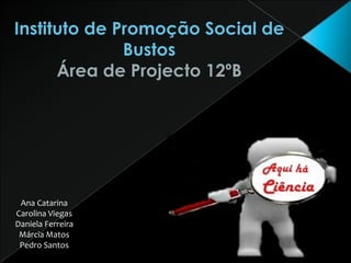 Instituto de Promoção Social de Bustos Área de Projecto 12ºB Ana Catarina Carolina Viegas Daniela Ferreira Márcia Matos Pedro Santos 