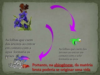 As folhas que caem
das árvores ao entrar
em contato com a                 As folhas que caem das
água formaria os                 árvores ao entrar em
peixes                           contato com o solo
                                 formaria as aves

                  Portanto, na abiogênese, da matéria
                  bruta poderia se originar uma vida
 