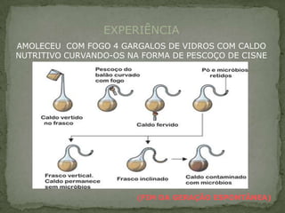 EXPERIÊNCIA
AMOLECEU COM FOGO 4 GARGALOS DE VIDROS COM CALDO
NUTRITIVO CURVANDO-OS NA FORMA DE PESCOÇO DE CISNE




                        (FIM DA GERAÇÃO ESPONTÂNEA)
 