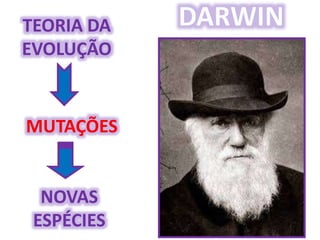 Origem da Vida e Evolução