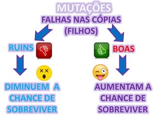Origem da Vida e Evolução