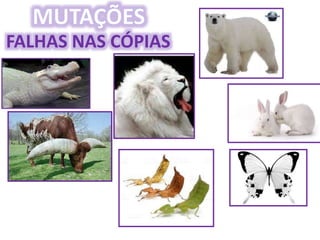 Origem da Vida e Evolução