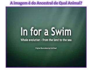 Origem da Vida e Evolução