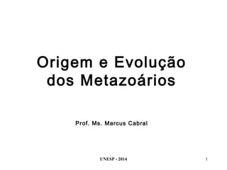 Origem e Evolução
dos Metazoários
Prof. Ms. Marcus Cabral
1UNESP - 2014
 