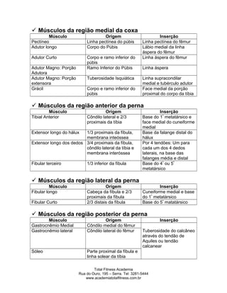  Músculos da região medial da coxa
Músculo Origem Inserção
Pectíneo Linha pectínea do púbis Linha pectínea do fêmur
Adutor longo Corpo do Púbis Lábio medial da linha
áspera do fêmur
Adutor Curto Corpo e ramo inferior do
púbis
Linha áspera do fêmur
Adutor Magno: Porção
Adutora
Ramo Inferior do Púbis Linha áspera
Adutor Magno: Porção
extensora
Tuberosidade Isquiática Linha supracondilar
medial e tubérculo adutor
Grácil Corpo e ramo inferior do
púbis
Face medial da porção
proximal do corpo da tíbia
 Músculos da região anterior da perna
Músculo Origem Inserção
Tibial Anterior Côndilo lateral e 2/3
proximais da tíbia
Base do 1º
metatársico e
face medial do cuneiforme
medial
Extensor longo do hálux 1/3 proximais da fíbula,
membrana inteóssea
Base da falange distal do
hálux
Extensor longo dos dedos 3/4 proximais da fíbula,
côndilo lateral da tíbia e
membrana interóssea
Por 4 tendões: Um para
cada um dos 4 dedos
laterais, na base das
falanges média e distal
Fibular terceiro 1/3 inferior da fíbula Base do 4º
ou 5º
metatársico
 Músculos da região lateral da perna
Músculo Origem Inserção
Fibular longo Cabeça da fíbula e 2/3
proximais da fíbula
Cuneiforme medial e base
do 1º
metatársico
Fibular Curto 2/3 distais da fíbula Base do 5º
matatársico
 Músculos da região posterior da perna
Músculo Origem Inserção
Gastrocnêmio Medial Côndilo medial do fêmur
Gastrocnêmio lateral Côndilo lateral do fêmur Tuberosidade do calcâneo
através do tendão de
Aquiles ou tendão
calcanear
Sóleo Parte proximal da fíbula e
linha solear da tíbia
Total Fitness Academia
Rua do Ouro, 195 – Serra. Tel: 3281-5444
www.academiatotalfitness.com.br
 