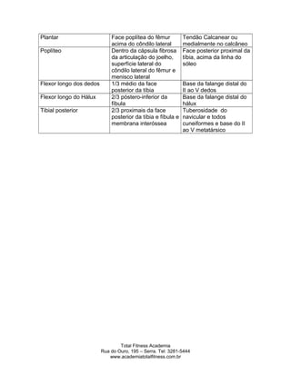 Plantar Face poplítea do fêmur
acima do côndilo lateral
Tendâo Calcanear ou
medialmente no calcâneo
Poplíteo Dentro da cápsula fibrosa
da articulação do joelho,
superfície lateral do
côndilo lateral do fêmur e
menisco lateral
Face posterior proximal da
tíbia, acima da linha do
sóleo
Flexor longo dos dedos 1/3 médio da face
posterior da tíbia
Base da falange distal do
II ao V dedos
Flexor longo do Hálux 2/3 póstero-inferior da
fíbula
Base da falange distal do
hálux
Tibial posterior 2/3 proximais da face
posterior da tíbia e fíbula e
membrana interóssea
Tuberosidade do
navicular e todos
cuneiformes e base do II
ao V metatársico
Total Fitness Academia
Rua do Ouro, 195 – Serra. Tel: 3281-5444
www.academiatotalfitness.com.br
 