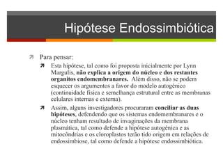 Hipótese Endossimbiótica 
ì Para pensar: 
ì Esta hipótese, tal como foi proposta inicialmente por Lynn 
Margulis, não explica a origem do núcleo e dos restantes 
organitos endomembranares. Além disso, não se podem 
esquecer os argumentos a favor do modelo autogénico 
(continuidade física e semelhança estrutural entre as membranas 
celulares internas e externa). 
ì Assim, alguns investigadores procuraram conciliar as duas 
hipóteses, defendendo que os sistemas endomembranares e o 
núcleo tenham resultado de invaginações da membrana 
plasmática, tal como defende a hipótese autogénica e as 
mitocôndrias e os cloroplastos terão tido origem em relações de 
endossimbiose, tal como defende a hipótese endossimbiótica. 
 