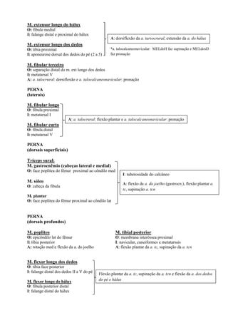 M. extensor longo do hálux
O: fíbula medial
I: falange distal e proximal do hálux
M. extensor longo dos dedos
O: tíbia proximal
I: aponeurose dorsal dos dedos do pé (2 a 5)
M. fibular terceiro
O: separação distal do m. ext longo dos dedos
I: metatarsal V
A: a. talocrural: dorsiflexão e a. talocalcaneonavicular: pronação
PERNA
(laterais)
M. fibular longo
O: fíbula proximal
I: metatarsal I
M. fibular curto
O: fíbula distal
I: metatarsal V
PERNA
(dorsais superficiais)
Tríceps sural:
M. gastrocnêmio (cabeças lateral e medial)
O: face poplítea do fêmur proximal ao côndilo med
M. sóleo
O: cabeça da fíbula
M. plantar
O: face poplítea do fêmur proximal ao côndilo lat
PERNA
(dorsais profundos)
M. poplíteo
O: epicôndilo lat do fêmur
I: tíbia posterior
A: rotação med e flexão da a. do joelho
M. tibial posterior
O: membrana interóssea proximal
I: navicular, cuneiformes e metatarsais
A: flexão plantar da a. tc, supinação da a. tcn
M. flexor longo dos dedos
O: tíbia face posterior
I: falange distal dos dedos II a V do pé
M. flexor longo do hálux
O: fíbula posterior distal
I: falange distal do hálux
A: dorsiflexão da a. tarsocrural, extensão da a. do hálux
*a. talocalcaneonavicular: MELdoH faz supinação e MELdosD
faz pronação
A: a. talocrural: flexão plantar e a. talocalcaneonavicular: pronação
I: tuberosidade do calcâneo
A: flexão da a. do joelho (gastrocn.), flexão plantar a.
tc, supinação a. tcn
Flexão plantar da a. tc, supinação da a. tcn e flexão da a. dos dedos
do pé e hálux
 