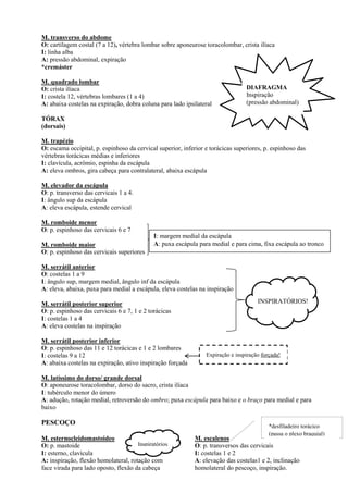 M. transverso do abdome
O: cartilagem costal (7 a 12), vértebra lombar sobre aponeurose toracolombar, crista ilíaca
I: linha alba
A: pressão abdominal, expiração
*cremáster
M. quadrado lombar
O: crista ilíaca
I: costela 12, vértebras lombares (1 a 4)
A: abaixa costelas na expiração, dobra coluna para lado ipsilateral
TÓRAX
(dorsais)
M. trapézio
O: escama occipital, p. espinhoso da cervical superior, inferior e torácicas superiores, p. espinhoso das
vértebras torácicas médias e inferiores
I: clavícula, acrômio, espinha da escápula
A: eleva ombros, gira cabeça para contralateral, abaixa escápula
M. elevador da escápula
O: p. transverso das cervicais 1 a 4.
I: ângulo sup da escápula
A: eleva escápula, estende cervical
M. romboide menor
O: p. espinhoso das cervicais 6 e 7
M. romboide maior
O: p. espinhoso das cervicais superiores
M. serrátil anterior
O: costelas 1 a 9
I: ângulo sup, margem medial, ângulo inf da escápula
A: eleva, abaixa, puxa para medial a escápula, eleva costelas na inspiração
M. serrátil posterior superior
O: p. espinhoso das cervicais 6 e 7, 1 e 2 torácicas
I: costelas 1 a 4
A: eleva costelas na inspiração
M. serrátil posterior inferior
O: p. espinhoso das 11 e 12 torácicas e 1 e 2 lombares
I: costelas 9 a 12
A: abaixa costelas na expiração, ativo inspiração forçada
M. latíssimo do dorso/ grande dorsal
O: aponeurose toracolombar, dorso do sacro, crista ilíaca
I: tubérculo menor do úmero
A: adução, rotação medial, retroversão do ombro; puxa escápula para baixo e o braço para medial e para
baixo
PESCOÇO
M. esternocleidomastoideo
O: p. mastoide
I: esterno, clavícula
A: inspiração, flexão homolateral, rotação com
face virada para lado oposto, flexão da cabeça
M. escalenos
O: p. transversos das cervicais
I: costelas 1 e 2
A: elevação das costelas1 e 2, inclinação
homolateral do pescoço, inspiração.
I: margem medial da escápula
A: puxa escápula para medial e para cima, fixa escápula ao tronco
INSPIRATÓRIOS!
Expiração e inspiração forçada!
Inspiratórios
DIAFRAGMA
Inspiração
(pressão abdominal)
*desfiladeiro torácico
(passa o plexo braquial)
 