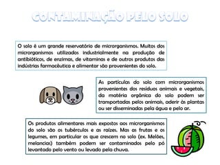 Origem Micro Nos Alimentos