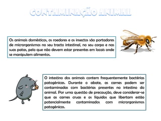 Origem Micro Nos Alimentos