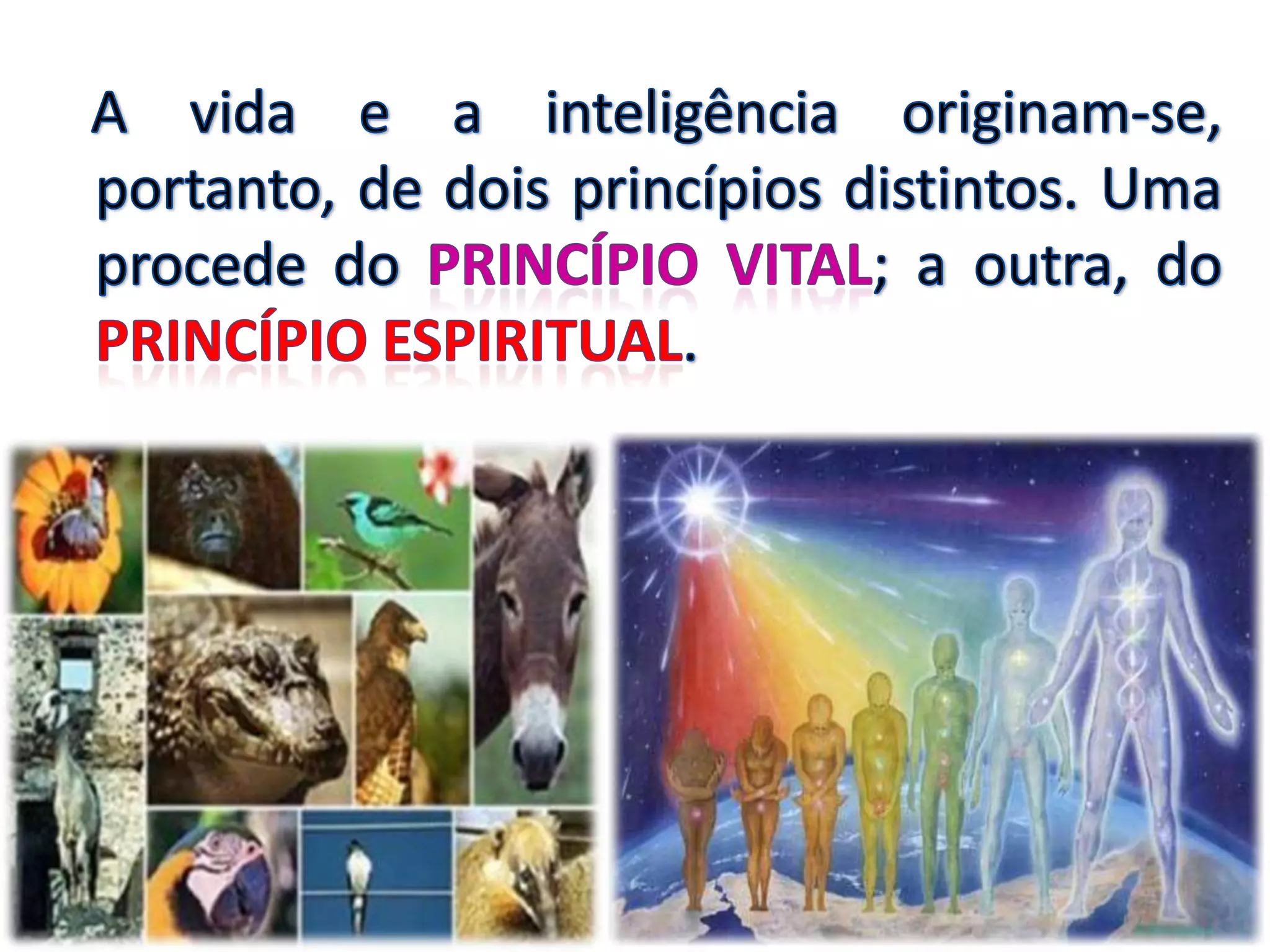 Origem e natureza dos espíritos - n. 12