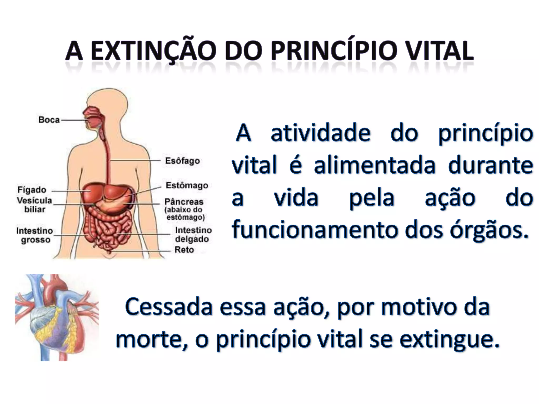 Origem e natureza dos espíritos - n. 12