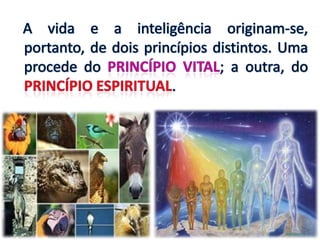 Origem e natureza dos espíritos - n. 12