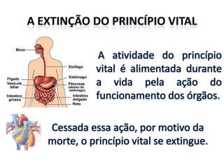 Origem e natureza dos espíritos - n. 12