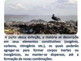 Origem e natureza dos espíritos - n. 12