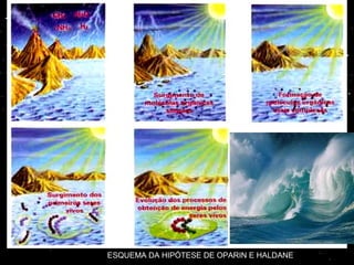 ESQUEMA DA HIPÓTESE DE OPARIN E HALDANE
 