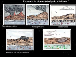 Esquema da Hipótese de Oparin e Haldane
coacervados
Primeiras células procarióticas
Atmosfera primitiva Mares primitivos
 