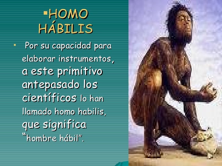 El Origen del Hombre