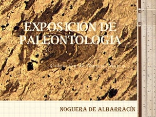 EXPOSICION DE PALEONTOLOGIA Colección de Marcial Marco Noguera de Albarracín 