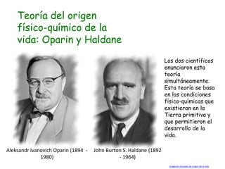 Teoría del origen
    físico-químico de la
    vida: Oparin y Haldane
                                                                    Los dos científicos
                                                                    enunciaron esta
                                                                    teoría
                                                                    simultáneamente.
                                                                    Esta teoría se basa
                                                                    en las condiciones
                                                                    físico-químicas que
                                                                    existieron en la
                                                                    Tierra primitiva y
                                                                    que permitieron el
                                                                    desarrollo de la
                                                                    vida.

Aleksandr Ivanovich Oparin (1894 -   John Burton S. Haldane (1892
              1980)                            - 1964)
                                                                     Imágenes tomadas de origen de la vida
 