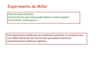 Experimento de Miller
 Pensamientos científicos:
 Unicamente los seres vivos pueden fabricar materia orgánica
 (aminoácidos, ácidos grasos…)




Este experimento probaba que las condiciones existentes en el planeta hace
unos 3500 millones de años fueron tales que pudieron formarse
espontáneamente moléculas orgánicas.
 