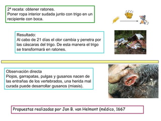 2ª receta: obtener ratones.
Poner ropa interior sudada junto con trigo en un
recipiente con boca.


     Resultado:
     Al cabo de 21 días el olor cambia y penetra por
     las cáscaras del trigo. De esta manera el trigo
     se transformará en ratones.




Observación directa
Piojos, garrapatas, pulgas y gusanos nacen de
las entrañas de los vertebrados, una herida mal
curada puede desarrollar gusanos (miasis).




   Propuestas realizadas por Jan B. van Helmont (médico, 1667
 