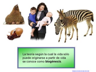 Imágenes tomadas de origen de la vida
 