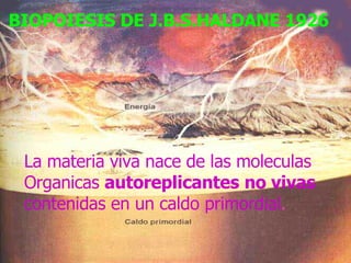 BIOPOIESIS DE J.B.S.HALDANE 1926 La materia viva nace de las moleculas Organicas  autoreplicantes   no vivas   contenidas en un caldo primordial .   