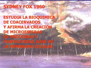 SYDNEY FOX 1960 ESTUDIA LA BIOQUIMICA DE COACERVADOS Y AFIRMA LA CREACION DE MICROESFERAS DE PROTEINAS Y FOSFOLIPIDOS,   BASE DE LA MEMBRANA CELULAR 