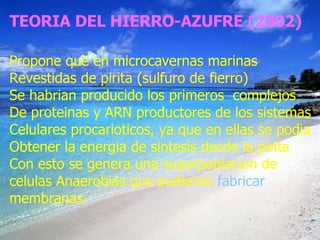 TEORIA DEL HIERRO-AZUFRE (2002) Propone que en microcavernas marinas Revestidas de pirita (sulfuro de fierro) Se habrian producido los primeros  complejos De proteinas y ARN productores de los sistemas Celulares procarioticos, ya que en ellas se podia Obtener la energia de sintesis desde la pirita Con esto se genera una superpoblacion de celulas Anaerobias que pudieron  fabricar  membranas. 