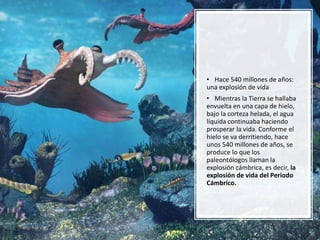 • Hace 540 millones de años:
una explosión de vida
• Mientras la Tierra se hallaba
envuelta en una capa de hielo,
bajo la corteza helada, el agua
líquida continuaba haciendo
prosperar la vida. Conforme el
hielo se va derritiendo, hace
unos 540 millones de años, se
produce lo que los
paleontólogos llaman la
explosión cámbrica, es decir, la
explosión de vida del Periodo
Cámbrico.
 