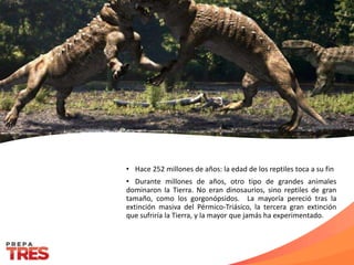 • Hace 252 millones de años: la edad de los reptiles toca a su fin
• Durante millones de años, otro tipo de grandes animales
dominaron la Tierra. No eran dinosaurios, sino reptiles de gran
tamaño, como los gorgonópsidos. La mayoría pereció tras la
extinción masiva del Pérmico-Triásico, la tercera gran extinción
que sufriría la Tierra, y la mayor que jamás ha experimentado.
 