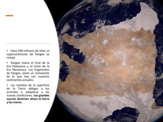 • Hace 190 millones de años: el
supercontinente de Pangea se
rompe
• Pangea marca el final de la
Era Paleozoica y el inicio de la
Era Mesozoica. Los fragmentos
de Pangea. serán un remanente
de lo que hoy son nuestros
continentes actuales.
• Los cambios de la superficie
de la Tierra obligan a los
animales a adaptarse a las
nuevas condiciones. Los grandes
saurios dominan ahora la tierra
y los mares.
 