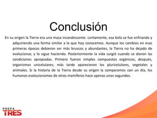 Conclusión
En su origen la Tierra era una masa incandescente. Lentamente, esa bola se fue enfriando y
adquiriendo una forma similar a la que hoy conocemos. Aunque los cambios en esas
primeras épocas debieron ser más bruscos y abundantes, la Tierra no ha dejado de
evolucionar, y lo sigue haciendo. Posteriormente la vida surgió cuando se dieron las
condiciones apropiadas. Primero fueron simples compuestos orgánicos; después,
organismos unicelulares; más tarde aparecieron los pluricelulares, vegetales y
animales. Si la historia de la Tierra desde su origen la comparamos con un día, los
humanos evolucionamos de otros mamíferos hace apenas unos segundos.
 