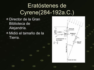 Eratóstenes de
      Cyrene(284-192a.C.)
Director de la Gran
Biblioteca de
Alejandría.
Midió el tamaño de la
Tierra.
 