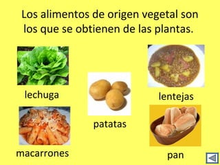 Los alimentos de origen vegetal son
 los que se obtienen de las plantas.




 lechuga                    lentejas

               patatas

macarrones                   pan
 