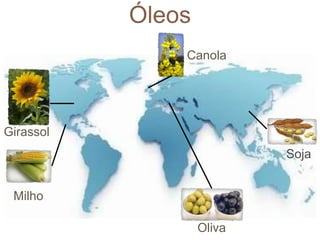 Óleos 
Soja 
Canola 
Oliva 
Girassol 
Milho 
 